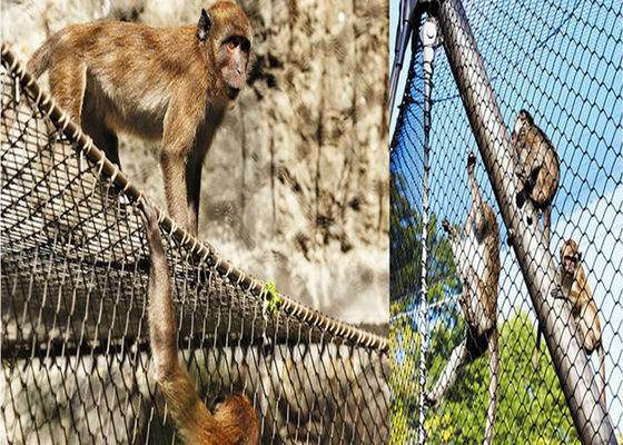 Stainless Steel Aviary Wire Netting with 300-400N/mm2 Tensile Strength 1m Roll Width and Carton Box Packaging