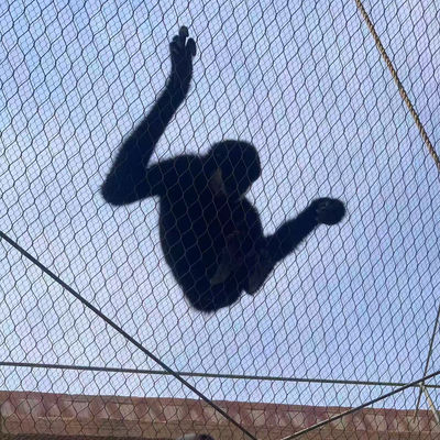 Stainless Steel Wire Rope Zoo Fencing Mesh Flexible Cable Netting For Bird Aviary