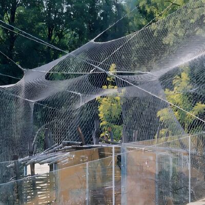 304 Soft Flexible Stainless Steel Metal Wire Rope Net Mesh for Zoo Aviary Bird Net Fence