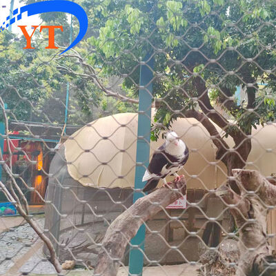Anti-corrosion Stainless Steel Wire Cable Mesh with Customizable Mesh Size for Easy Installation