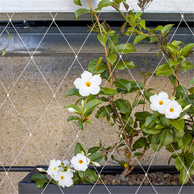 Eco Green Wall 1.2mm Stainless Steel Wire Rope Mesh For Green Facade