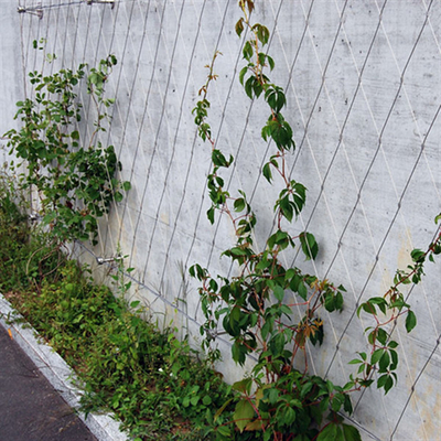 Eco Green Wall 1.2mm Stainless Steel Wire Rope Mesh For Green Facade
