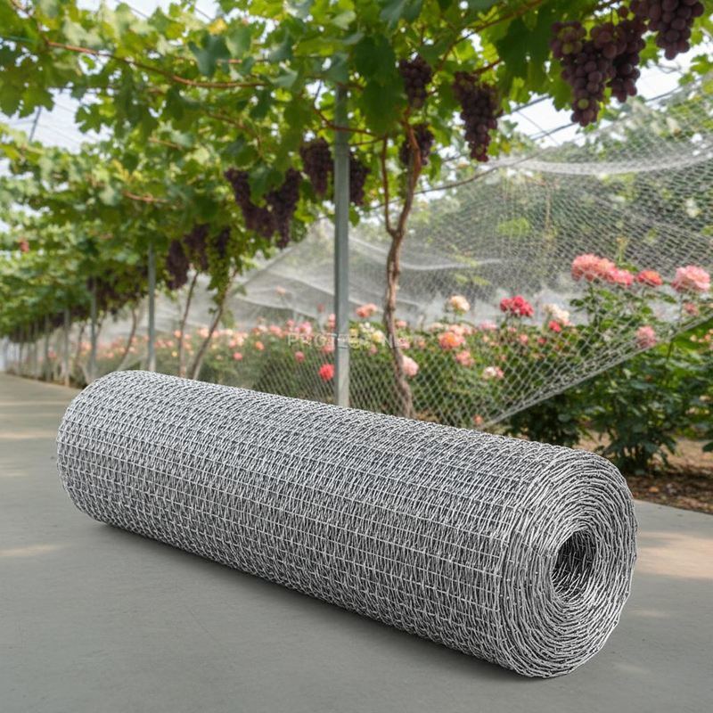 Wirediameter 0.5mm To 3.2mm Flexible Bird Netting Engineered To Protect Agricultural Produce And Ornamental Plants