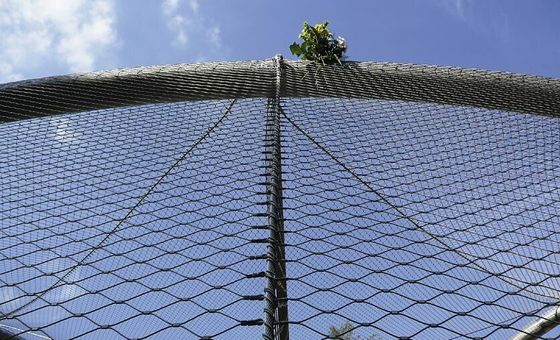 Нержавеющая сталь защитная сетка 2,0 мм проволока 60x60 мм отверстие защиты от падения