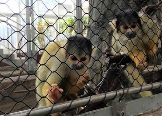 Черным тип плетения сетки веревочки Авяры СС окиси гибким сплетенный диамантом