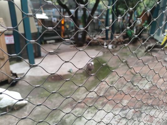 Twill Weave 2mm Aviary Wire Netting Нержавеющая сталь проволока веревка птица сетка ограждение зоопарк