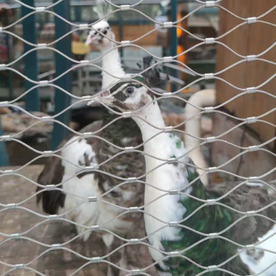 Птицеводные проволочные сетки Гибкая проволочная сетка для зоопарка