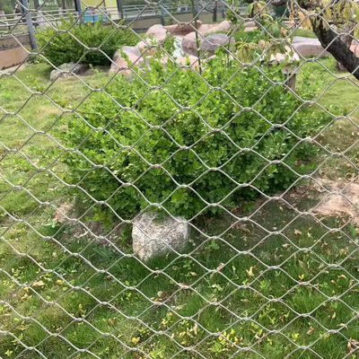 SUS 304 316 Трикотажный / застегнутый решеток из нержавеющей стали для защиты птиц