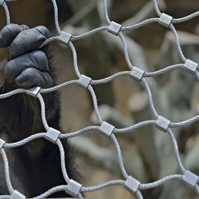 Устойчивая сетка из нержавеющей стали, предназначенная для защитных барьеров