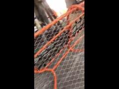 Ограждения из сетки из проволочной сетки