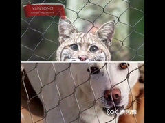 Животная клетка