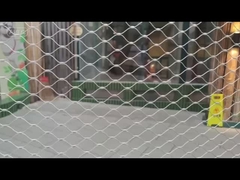 Птицевая лесная сеть