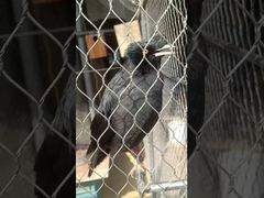 Прочная мягкая обойма Тип Гибкий металл Прочная нержавеющая стальная узловая веревочная сетка