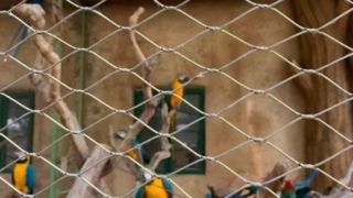 Как выглядит плетеная кабельная сетка из нержавеющей стали